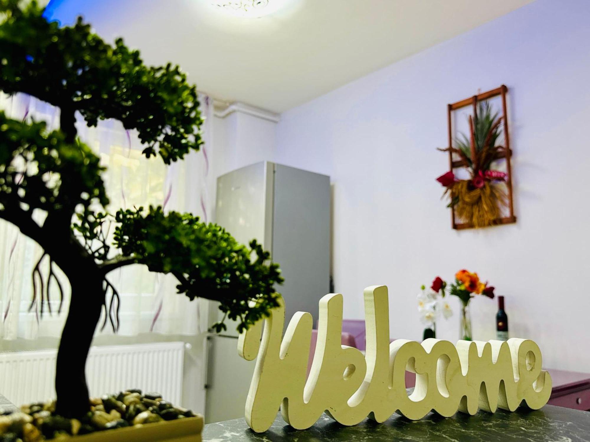 Joy City Stay Spacious Comfortable Тимишоара Экстерьер фото