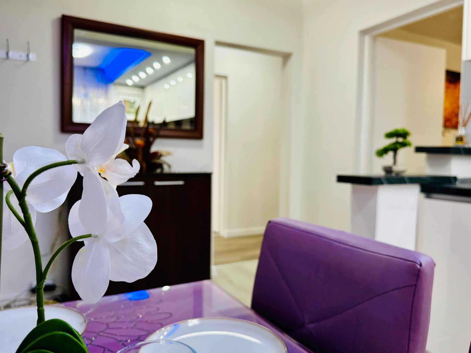 Joy City Stay Spacious Comfortable Тимишоара Экстерьер фото